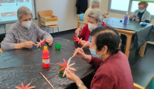 estrellas de navidad en CDM Esfinge