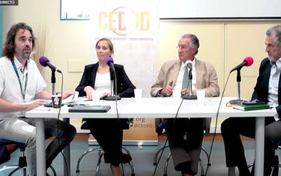 ASISPA en la Jornada CEDDD sobre la ley de desindexación y su impacto en el sector social