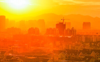 Decálogo de medidas para hacer frente al calor