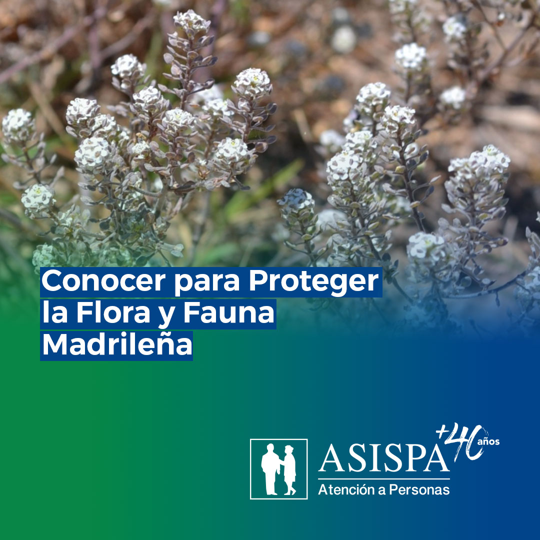 ASISPA CONOCER FAUNA Y FLORA