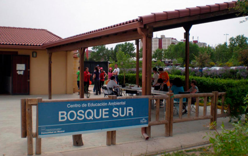 Taller «Las aves de Arco Verde»: descubre la biodiversidad que nos rodea