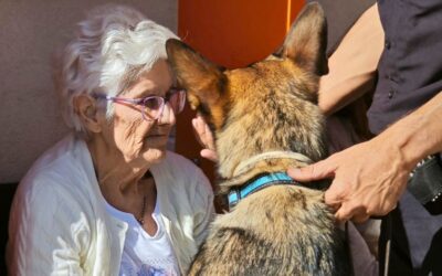 Éxito de la terapia asistida con animales en el Centro de Día Municipal Carmen Sevilla