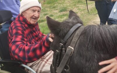 Ponis en el parque de Fresnos: actividad intergeneracional en residencia Soto Fresnos