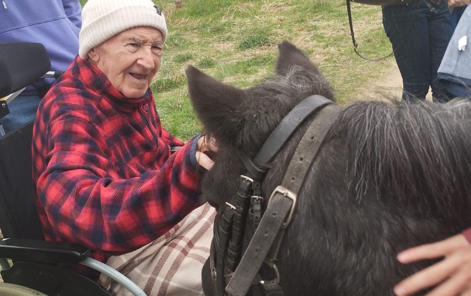 Actividad con ponis en Soto Fresnos