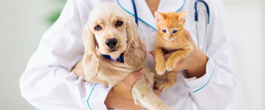 Atención Veterinaria a Domicilio