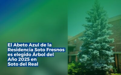 El Abeto Azul de la Residencia Soto Fresnos es elegido Árbol del Año 2025 en Soto del Real