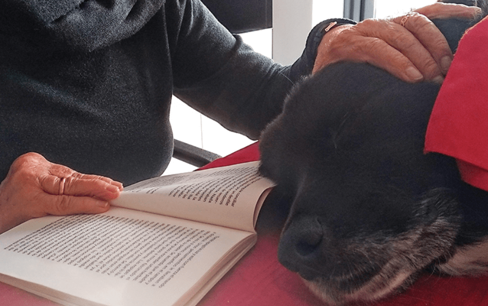 Taller de lectura con perros en la Residencia Soto Fresnos: una experiencia innovadora y emocionalmente enriquecedora