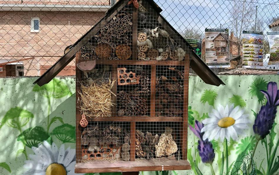 Movimiento, naturaleza y comunidad: una jornada especial en la Residencia Soto Fresnos