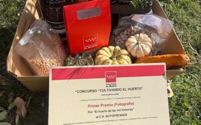 La Residencia Soto Fresnos de ASISPA consigue el primer premio en el concurso de huertos de la Comunidad de Madrid